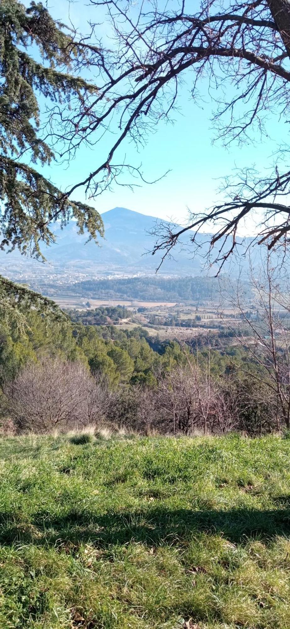 Studio Tout Confort En Provence Mont Ventoux. Bédoin Extérieur photo